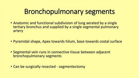 Tracheobronchial Tree Anatomy And Bronchoscopy Ppt