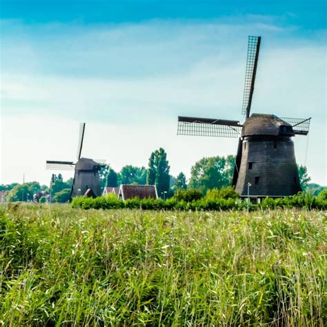 Premium Photo Typical Dutch Landscape In Alkmaar The Netherlands