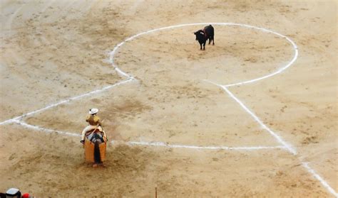 El Toro De Cenicientos La C Mara De Javier Salamanca En La Concurso De