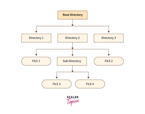 File Management In Operating System Scaler Topics