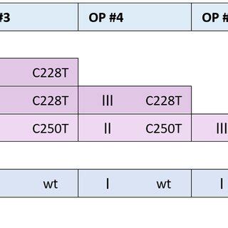 TERT Promoter Mutations TERTpMut C228T And C250T During Malignant