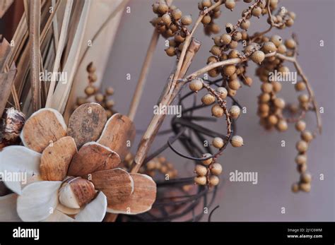 Close Up Of Bouquet Of Brown Dried Flowers Background And Wallpaper