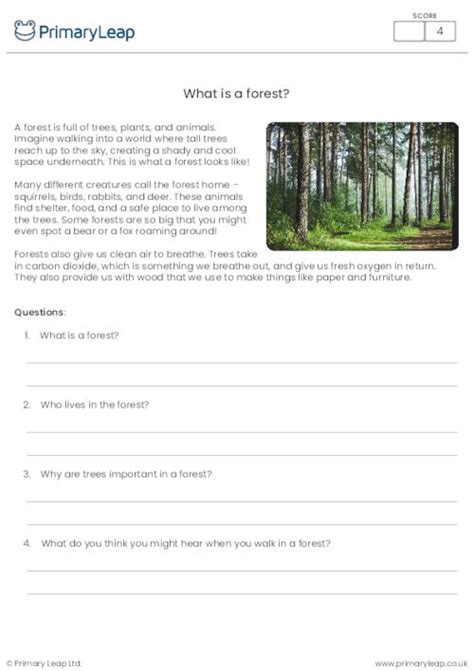 Geography What Is A Mountain Reading Comprehension Activity