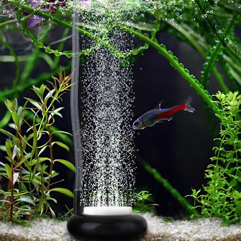 What Are The Benefits Of Air Pumps In An Aquarium Chibi Aquarium