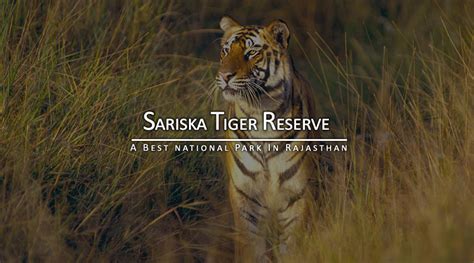 Sariska Tiger Reserve