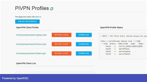 Raspberry Pi Openvpn Client Gui Raspberry