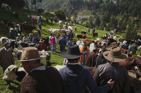 Hanging out at the animal markets of Boyacá — Mitchell Kanashkevich - Traditions, culture ...