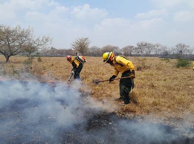 ACCIONES DE SUPRESIÓN ANTE INCENDIOS FORESTALES CONRED