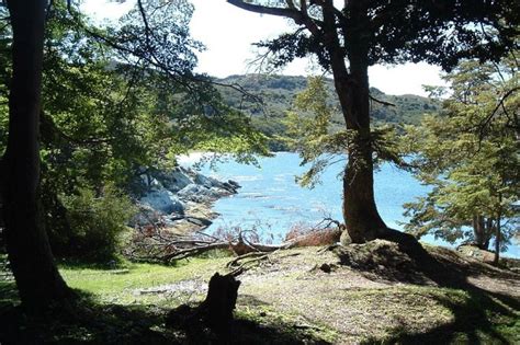 Shore Excursion Private Tour Of Tierra Del Fuego National Park Ushuaia Project Expedition