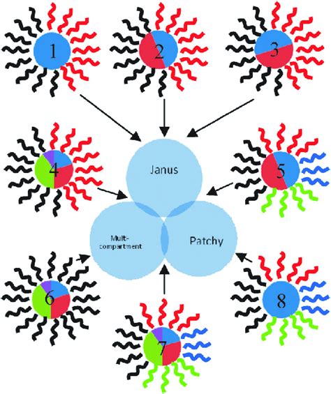 Schematic Representation Of Anisotropic Polymer Micelles 1 Janus