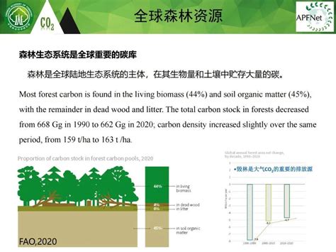 森林碳储量和碳汇如何监测？ 知乎