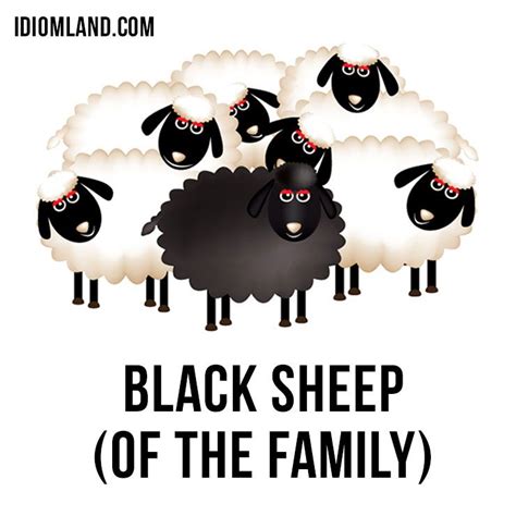 Hi there! 😀 Our #idiom of the day is ”Black sheep (of the family)”, which means “someone who is ...