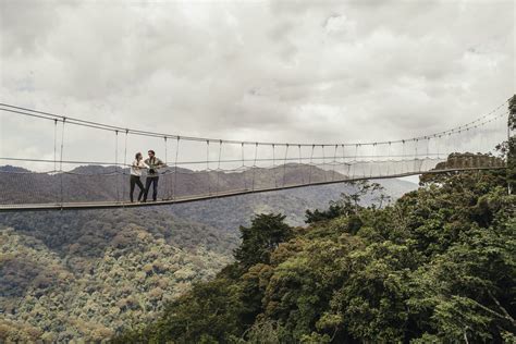 Nyungwe Canopy Walk Experience In Rwanda Nyungwe Forest