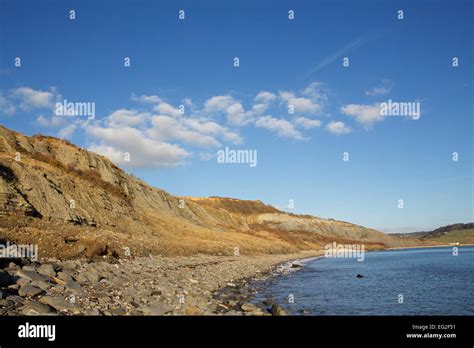 Jurassic Coast Dorset Fossils Hi Res Stock Photography And Images Alamy