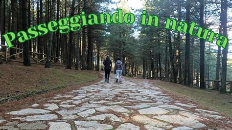 I Panorami Dell Entroterra Sardo SARDEGNA VANLIFE YouTube