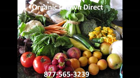 Organic Grown Food YouTube