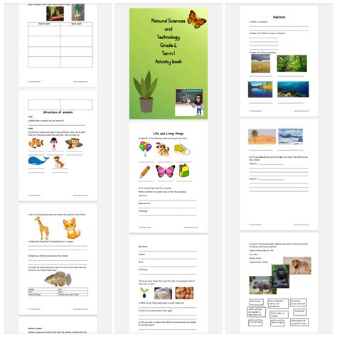 Natural Science And Technology Grade 4 Activity Book Term 1 • Teacha