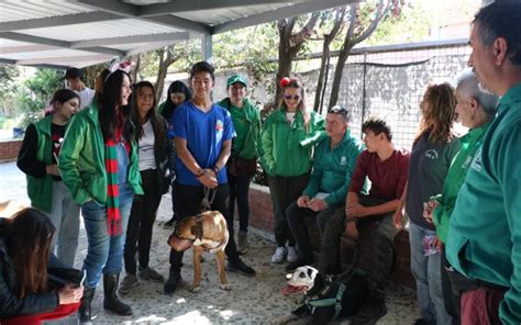 Este 28 De Diciembre Culmina La Caravana De La Navidad Zoolidaria Para