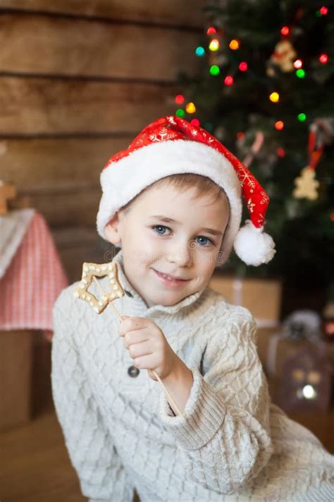 Boy In A Christmas Hat In Front Of Decorated Tree Stock Photo Image