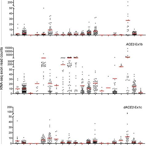 Ace2 And Dace2 Expression In Tumor Adjacent Normal Tissues In