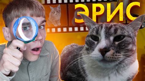 обзор на Эрис - YouTube