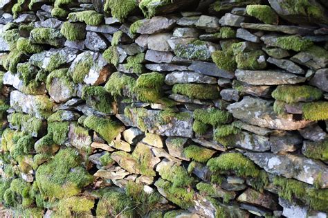 Free Image of Old mossy dry-stone wall | Freebie.Photography