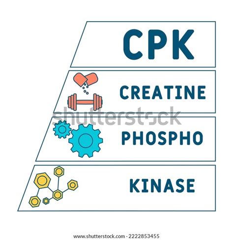 Cpk Creatine Phosphokinase Acronym Business Concept Stock Vector ...