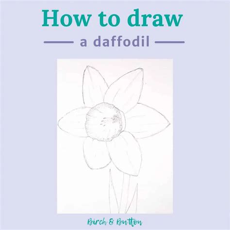 How To Draw A Daffodil - Birch And Button