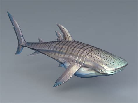 Whale Shark 3d Model 3d Studio3ds Max Files Free Download Cadnav