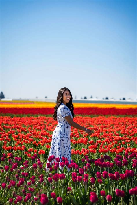 Flower Field Photo Shoot - Roozengaarde Skagit Valley - EmmasEdition ...