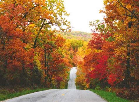 Enjoy The Colorful Scenes Of Fall At The Lake Of The Ozarks