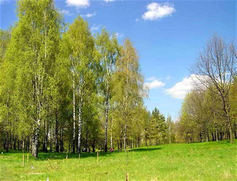 Rivne oblast, Ukraine overview, features, pictures