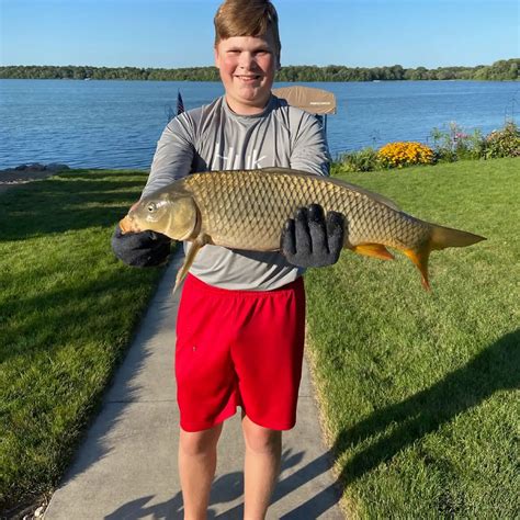 ᐅ Lake Marion fishing reports🎣• Hutchinson, MN (United States) fishing