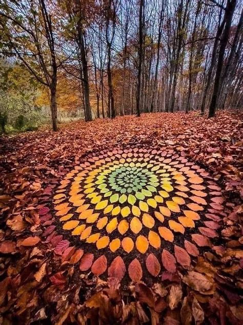 Pin By Flavia Wegmann On Natureza E Destinos In Nature Mandala