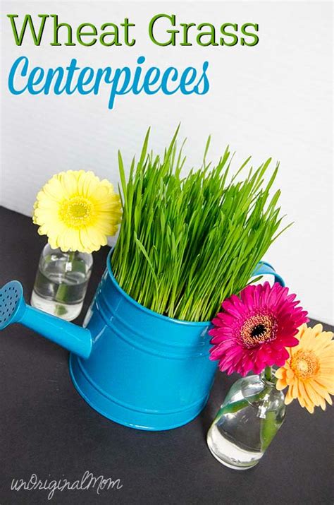 Wheat Grass Centerpieces Unoriginal Mom