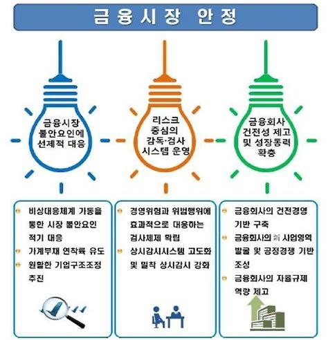 금감원 2017 업무계획 발표올해 테마는 리스크 관리