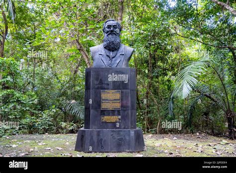 A Statue Of The Famed Naturalist Alfred Russel Wallace At The Tangkoko