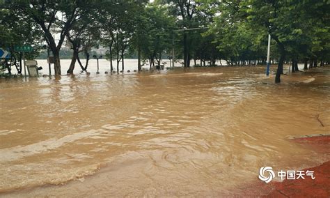 柳州暴雨市区出现内涝 广西高清图片 中国天气网