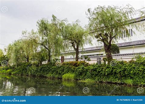 Willow Trees And View From Traditional Boat Tour In Yanagawa Fukuoka