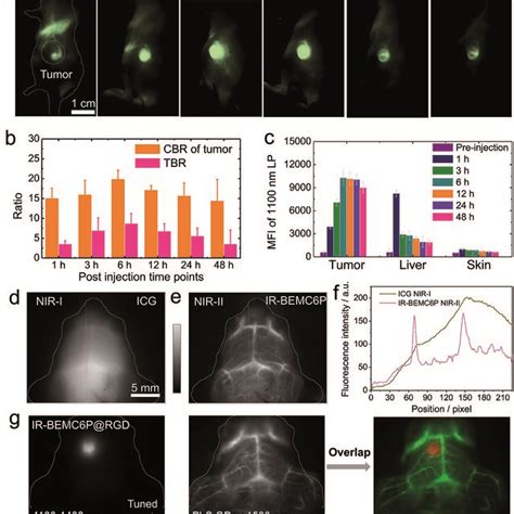 NIR II Targeting Imaging Of The U87 Tumor Model With IR BEMC6P RGD A