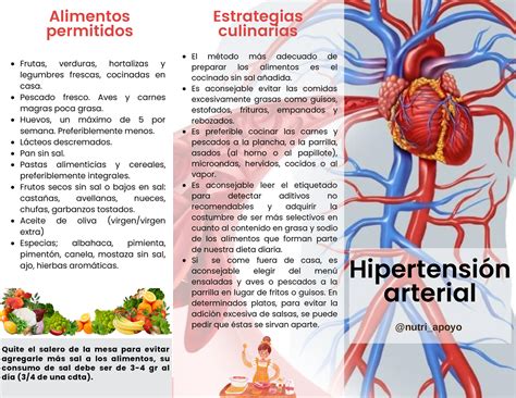 Tr Ptico Hipertensi N Arterial Quite El Salero De La Mesa Para Evitar