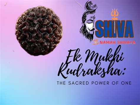 Ek Mukhi Rudraksha The Sacred Power Of One