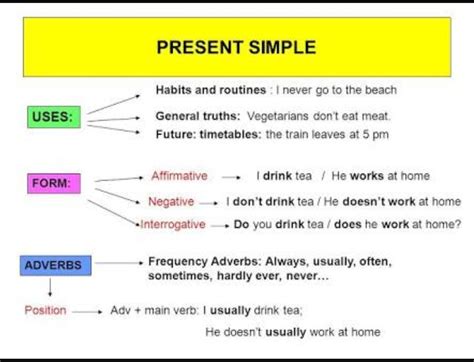 S N F Simple Present Tense Ayn C Mleden Olumlu Olumsuz Soru