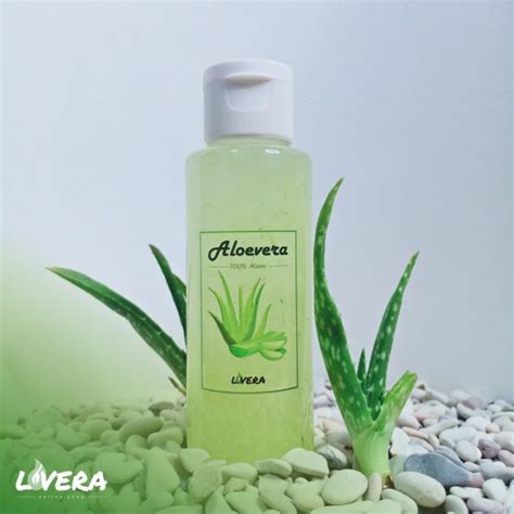 Jual Gram Lidah Buaya Kupas Aloevera Alami Shopee Indonesia