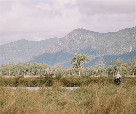 Vegetation cover has increased since 1995