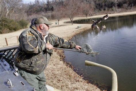 Twra Releases Winter Trout Stocking Schedule Trout Stocking