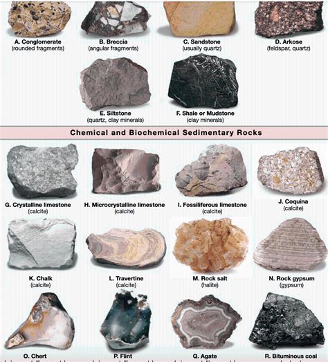 Names Of Sedimentary Rocks