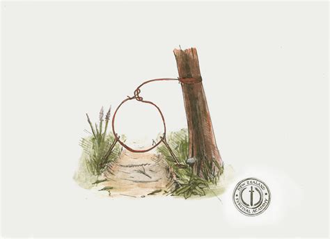 Traps And Snares 101 — New Zealand Survival Academy Bushcraft And