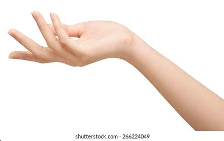 Female Hand Photos Images Pictures Shutterstock