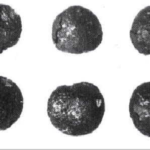 Broomcorn Millet Naked Grains From The Linearbandceramic Culture